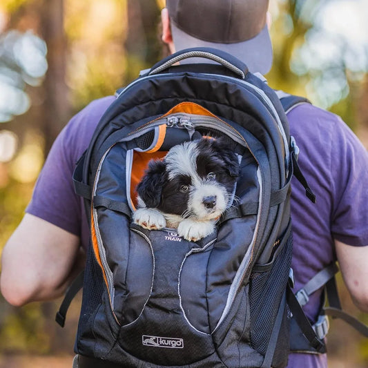 Navy Blue Dog Carrier Backpack Waterproof Bottom