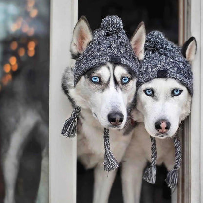 Winter Warm Dog Windproof Knitting Fluffy Ball Hat