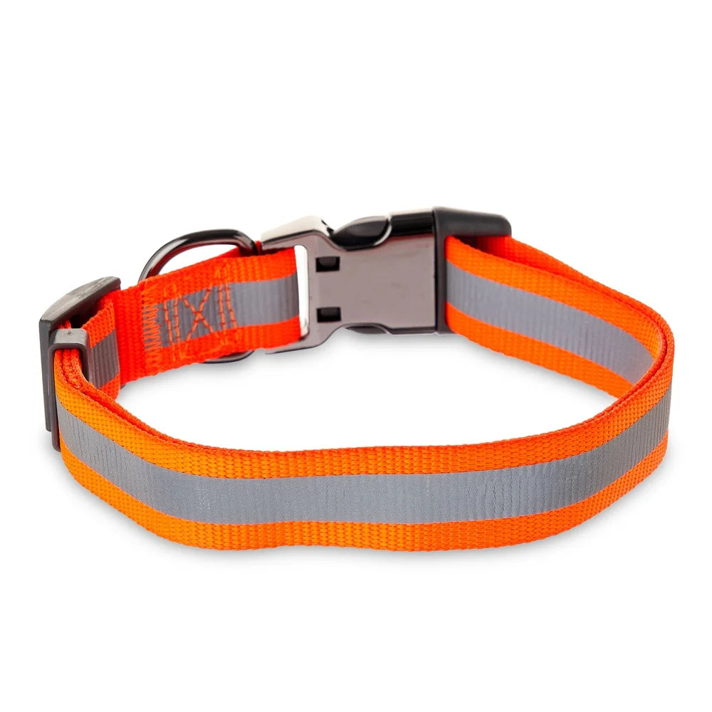 Large Adjustable Nylon Metal Dog Collar Neon Orange