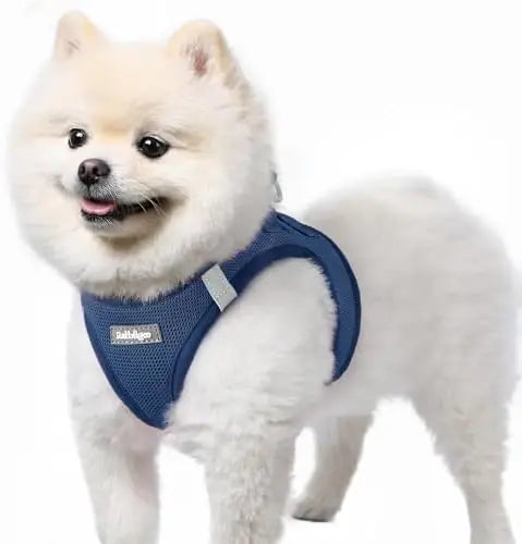 Soft Mesh Harness for Small Dogs, Reflective, Navy Blue