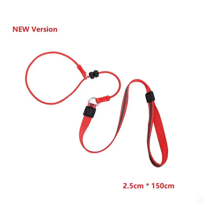 Training P-Shaped Chain Slip Lead Control Leash