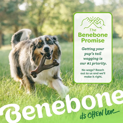 Durable Dog Chew Peanut Flavor Long Lasting