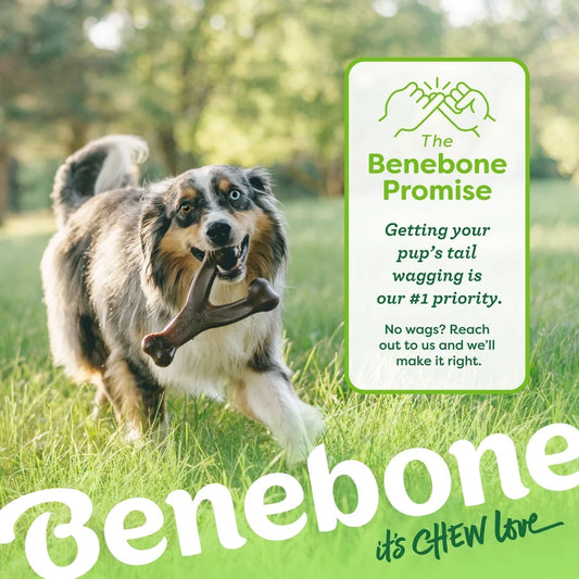 Durable Dog Chew Peanut Flavor Long Lasting