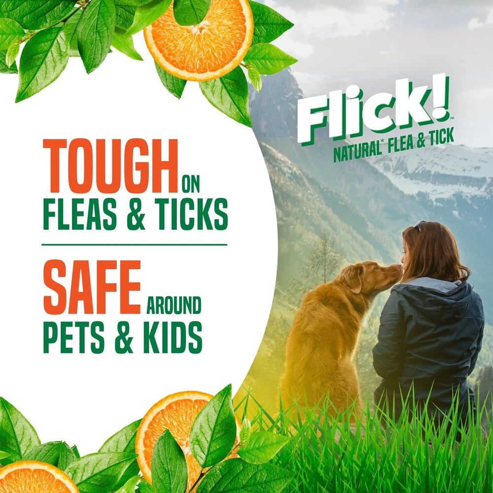 Natural Flea Tick Shampoo Dogs Essential Oils