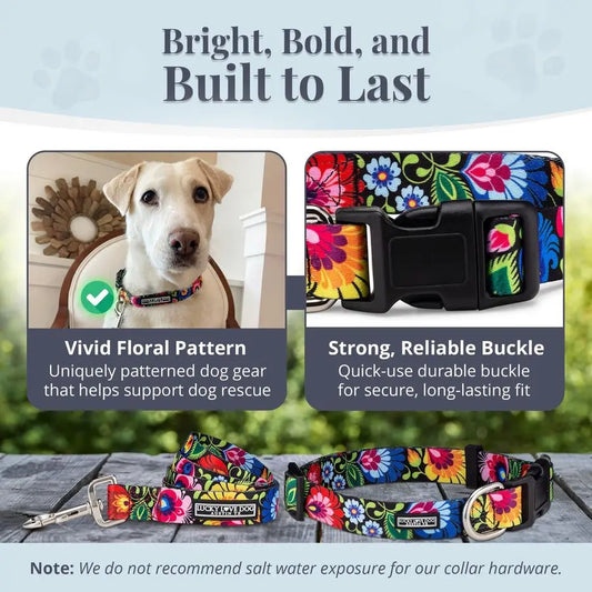 Easy Click Buckle Dog Collar with Leash Set Combo