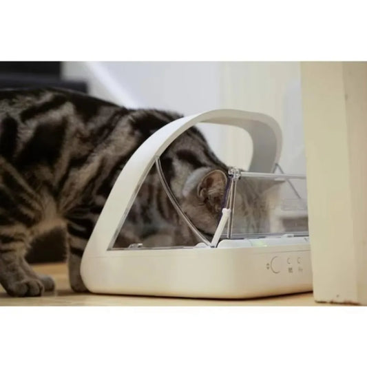 Microchip Feeder  Wet And Dry Food Automatic
