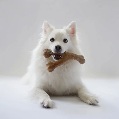 Durable Wishbone Dog Chew with Real Bacon Flavor