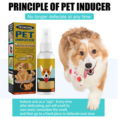 30ml Potty Training Spray for Puppy Housebreaking Tool