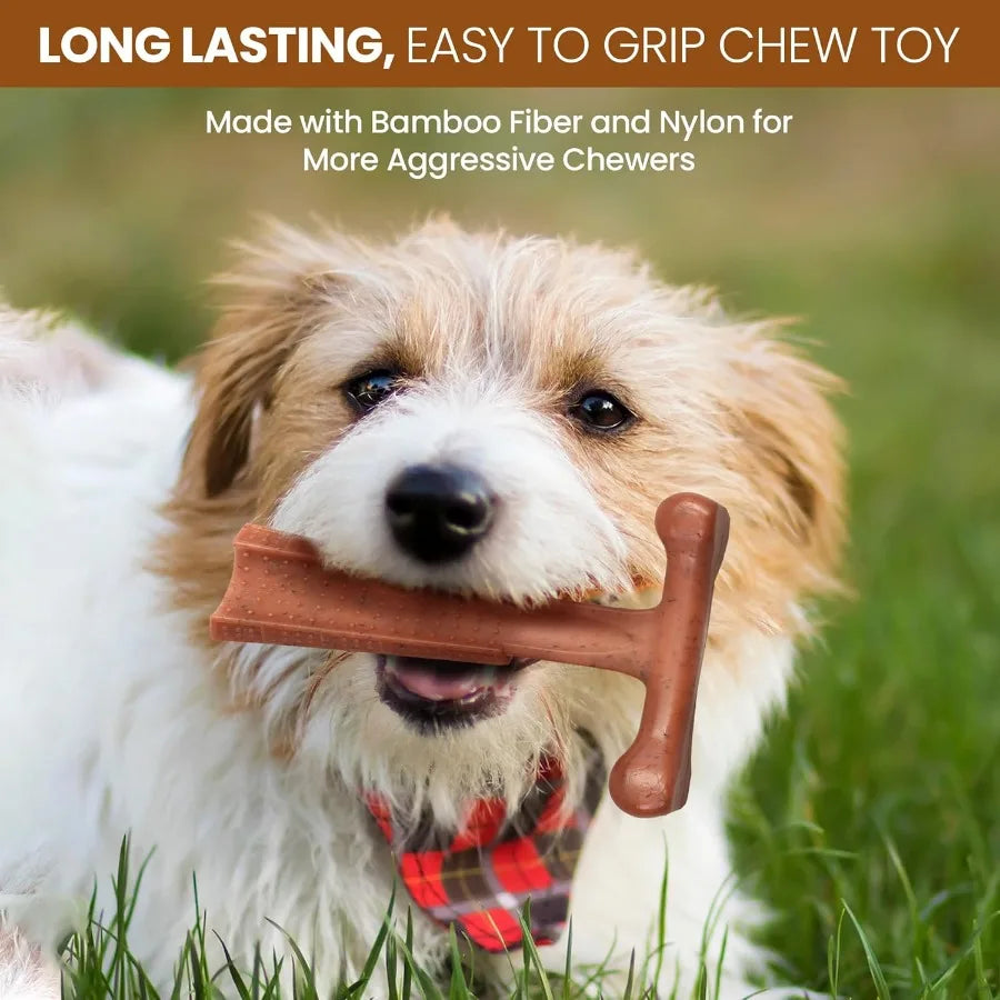 T Bone Durable Nylon Dog Chew