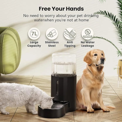 Automatic 7L Pet Water Dispenser Gravity Stainless Steel Bowl
