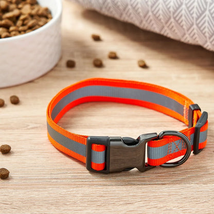 Large Adjustable Nylon Metal Dog Collar Neon Orange