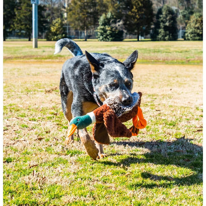 Duck Toy with Squeaker Chewable Interactive Play