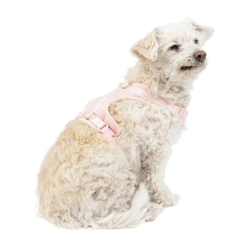 Adjustable Neoprene Dog Harness XS Soft Comfortable Fit