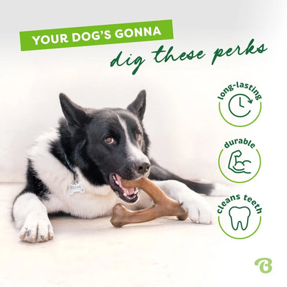 Durable Dog Chew Peanut Flavor Long Lasting