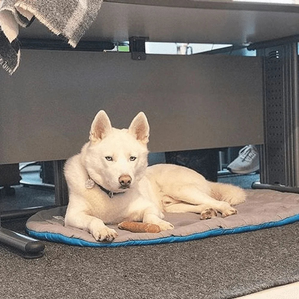 Travel Pet Bed Water Resistant Lightweight Dog Bed