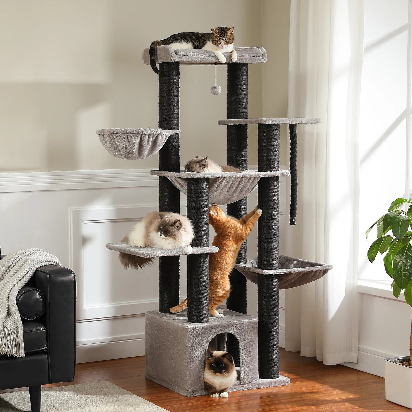 Multi-Level Tree, Scratching Posts, Cozy Condo, Super Large Perch, Deep Hammocks