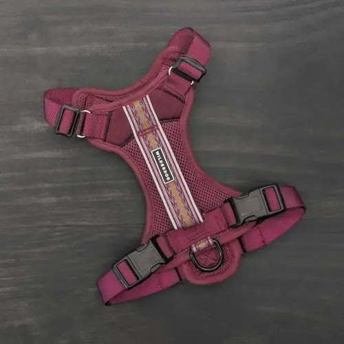 Lightweight Dog Harness  - Reflective Straps Huckleberry