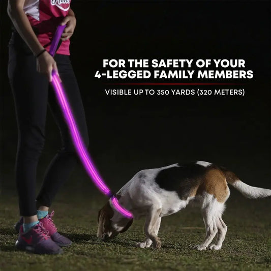 LED Light Up Leash High Visibility Up to 350 Yards Rechargeable
