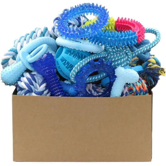 20 Pack Puppy Chew Toys for Small Breeds