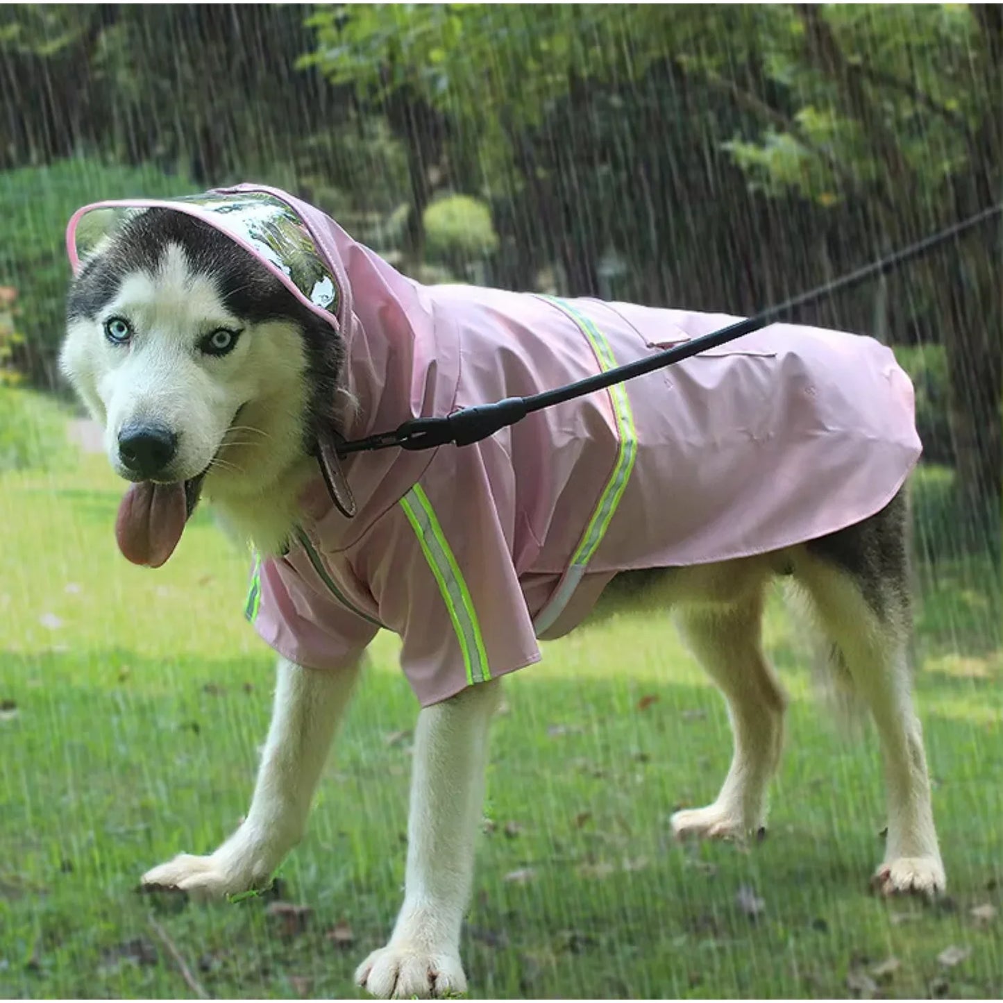 Apparel Fashion  Waterproof Hoodies Designers Dog clothes