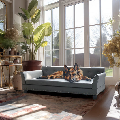 Durable Elevated Dog Sofa Bed, Comfortable Couch
