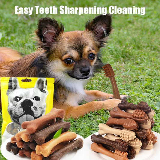 Toothbrush Bone Shape Fresh Natural Nutrition Healthy Adult Dogs