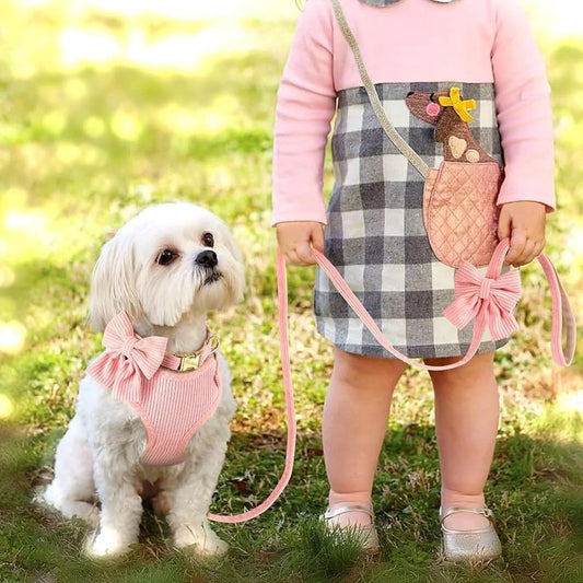 Adjustable Vest Harness Collar Leash Bowtie Small Pets