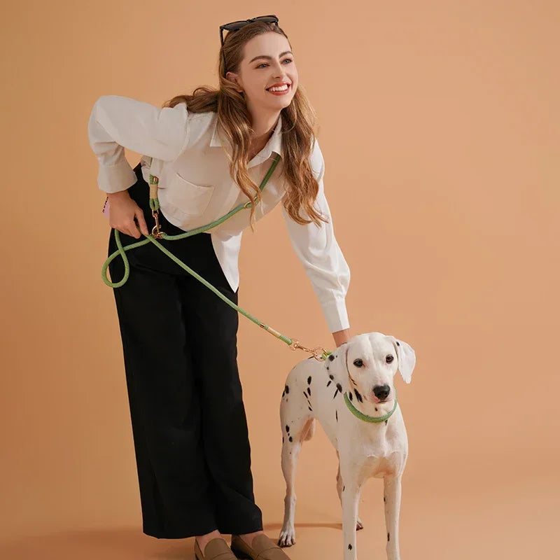 Hands-free Lead Rope Pet Leashes Small medium large
