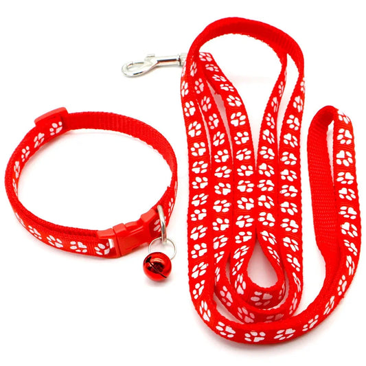 Leash Adjustable Collar Printed