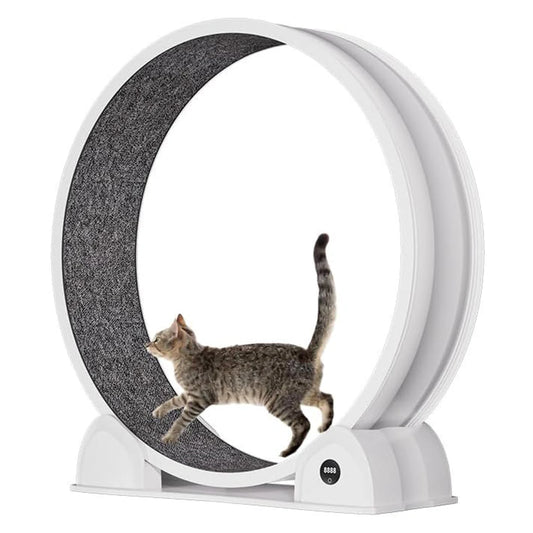 ABS Cat Wheel Exerciser Quiet Treadmill with Pedometer