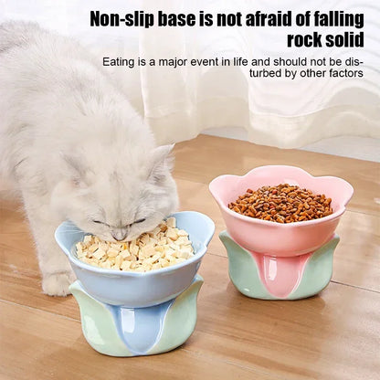 Flower Bowl Raised Ceramic Drinking Eating  Elevated Non-slip