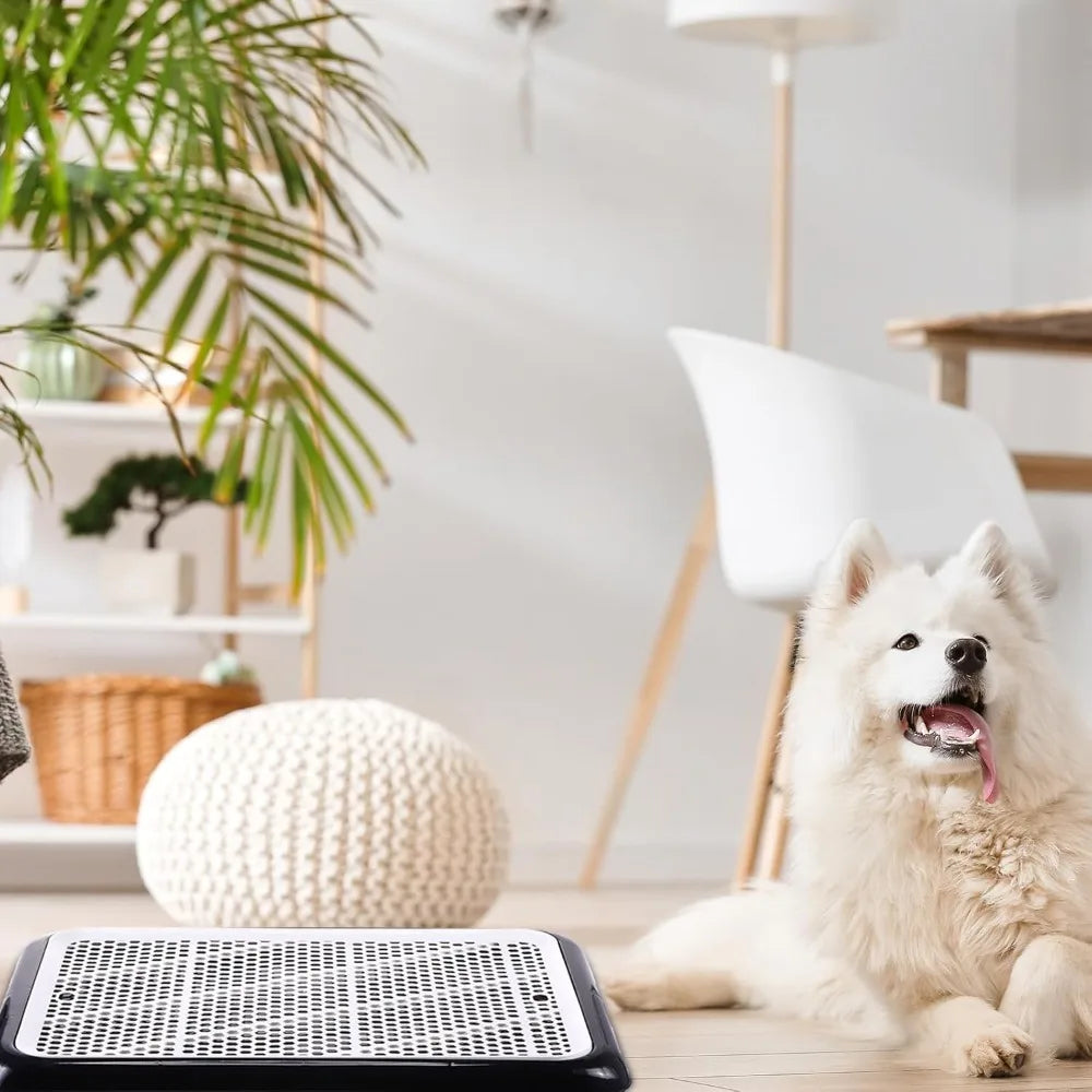 Dog Pee Pad Holder Potty Tray Portable