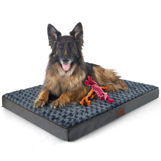 Orthopedic Bed Removable Washable Foam Support Non-Slip