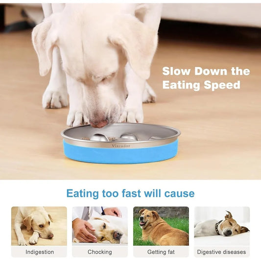 Slow Feeder Bowl Dogs Promotes Healthy Eating Speeds