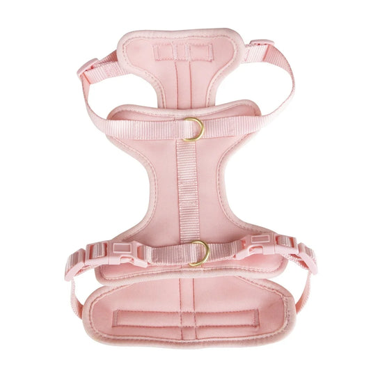 Adjustable Neoprene Dog Harness XS Soft Comfortable Fit