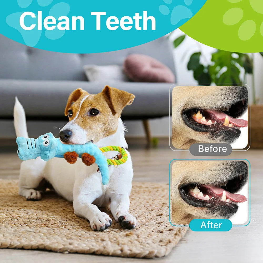 Dog Squeaky Toy, 2 Pack, Tug of War Interactive