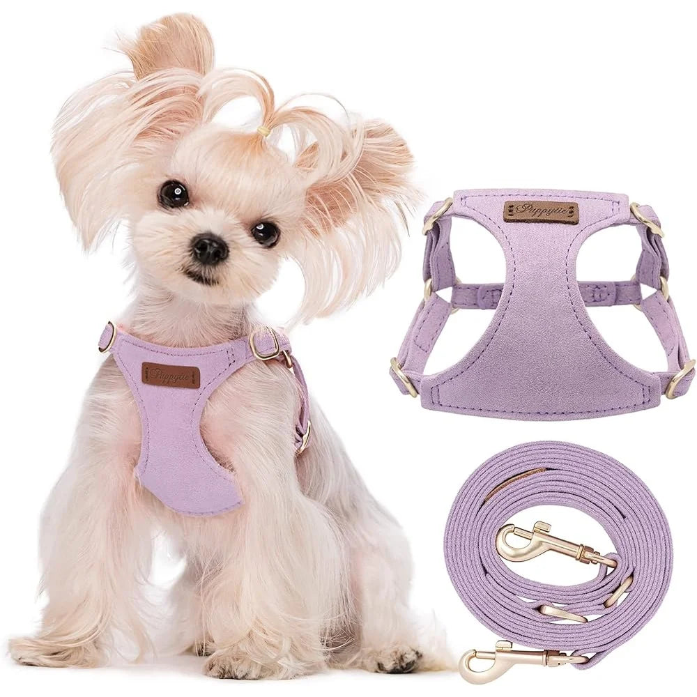 Adjustable Harness Pet Vest With Leash Breathable
