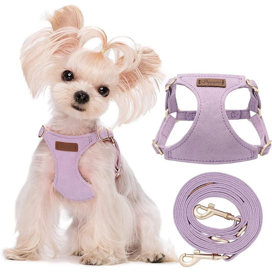 Adjustable Harness Pet Vest With Leash Breathable