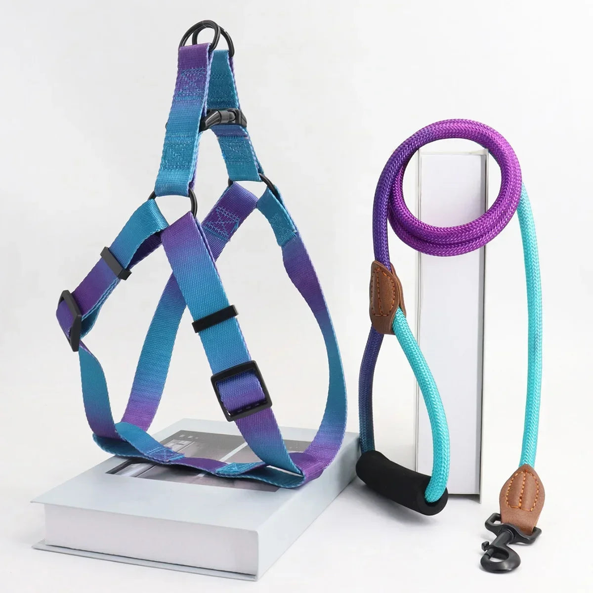 Set of colorful pet harness with leash