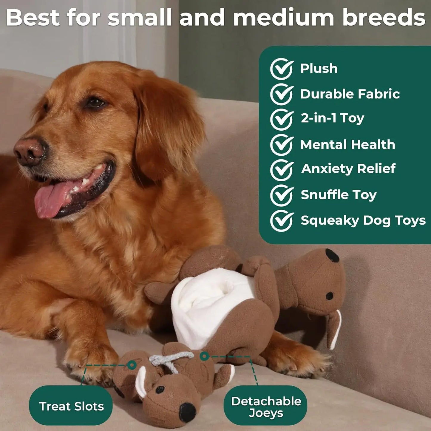 Interactive Kangaroo with Squeaker & Treat Pouch