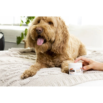 Cocoa Butter Dog Paw Balm Moisturizing Soothing Cream