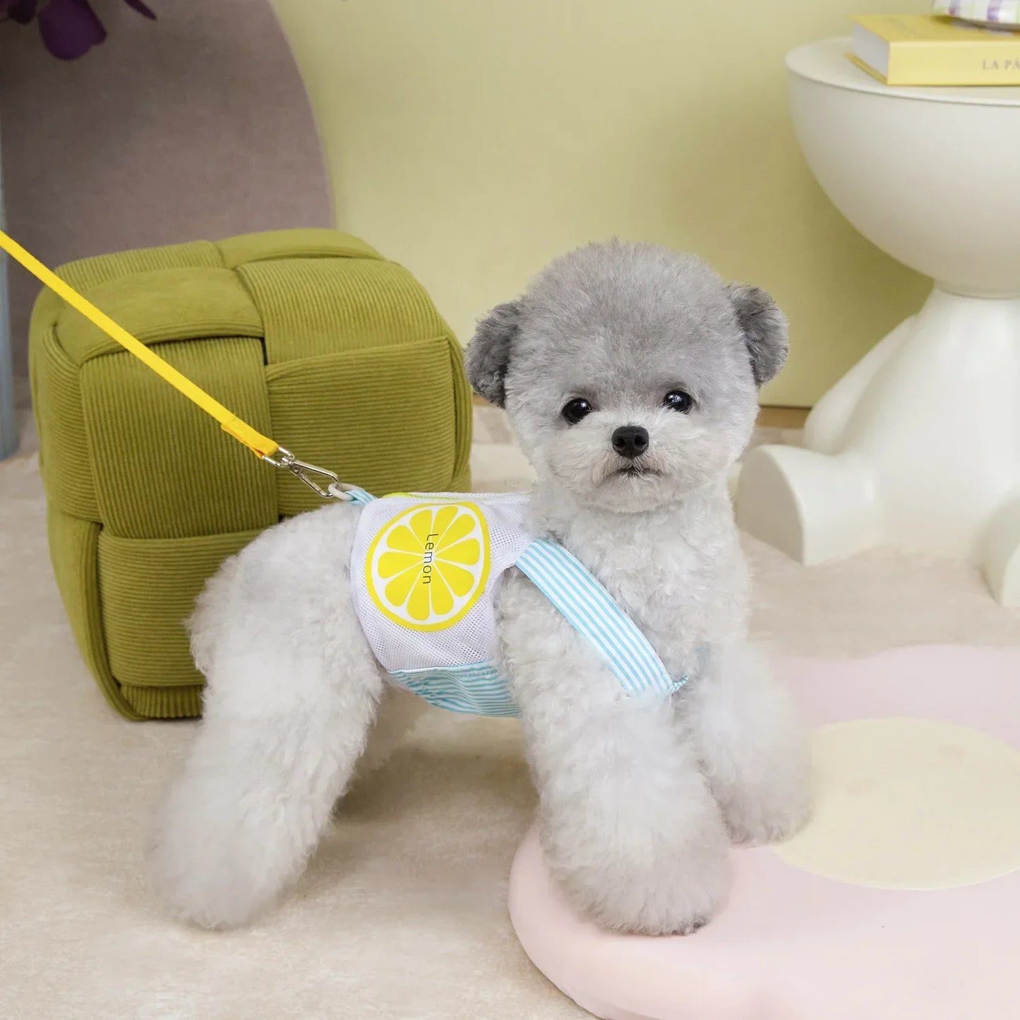 Dog Harness Vest Summer Breathable With Leash