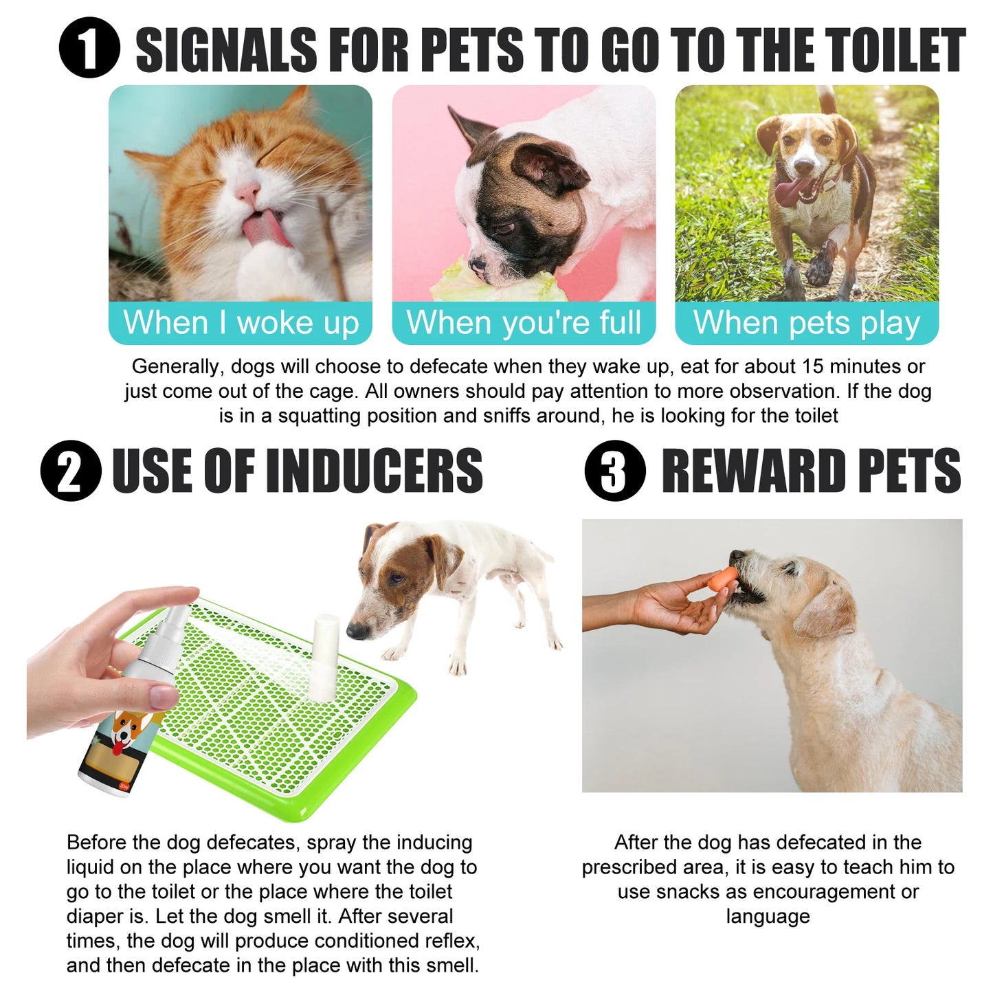 30ml Potty Training Spray for Puppy Housebreaking Tool