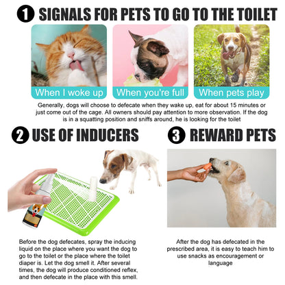 30ml Potty Training Spray for Puppy Housebreaking Tool