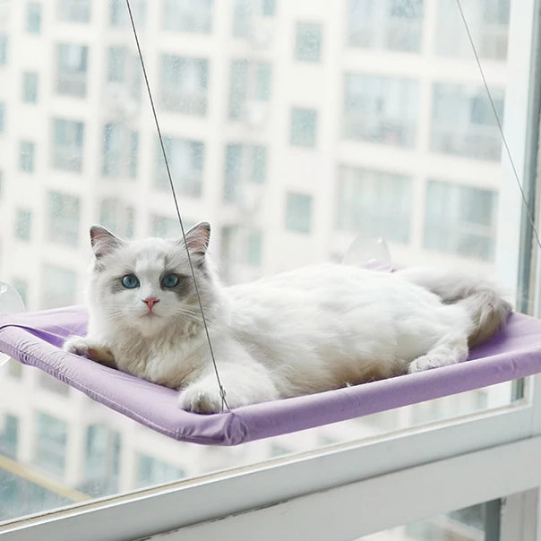 Cat Hammock Window Hanger Washable Detachable Bed Suction