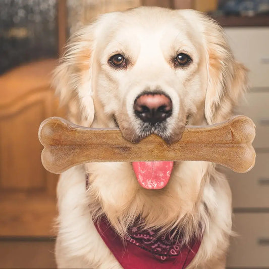8 Inch Stick Non-Toxic Creative Pet Chew Bone