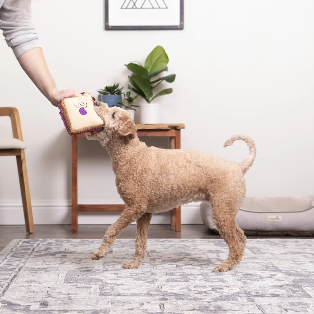 Dog Toy with Squeaker Soft Cuddly Interactive
