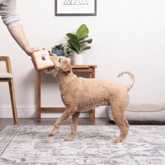 Dog Toy with Squeaker Soft Cuddly Interactive