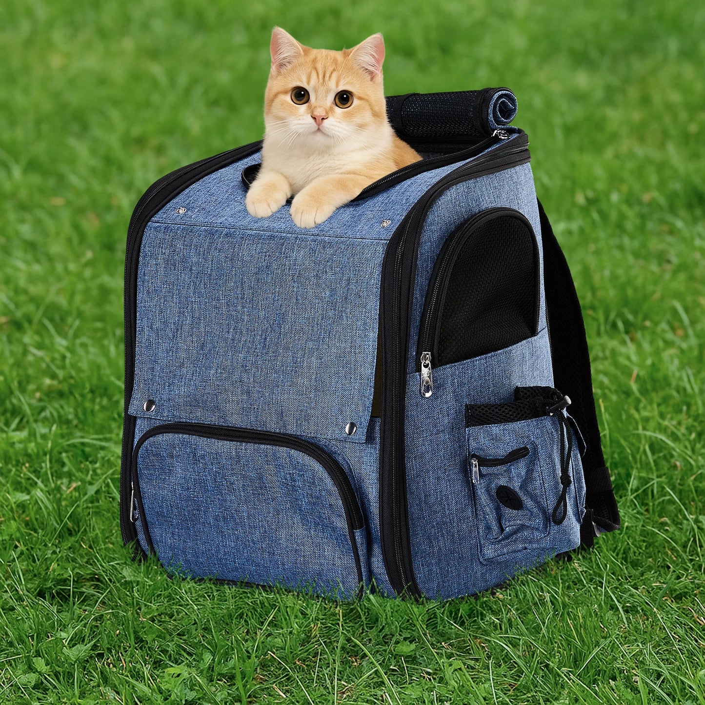 Pet Carrier Backpack Expandable, Breathable Mesh Travel