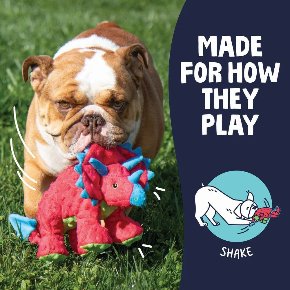 Durable Squeaky Plush Dog Toy Interactive Play